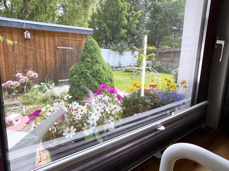 Blick in den Garten aus Wohnküche